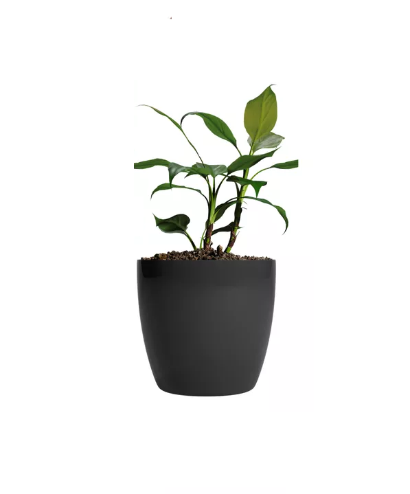 MACETEROS PLÁSTICO 20X22CM AMALFI PACK 2 UNIDADES 5.3L NEGRO - 1