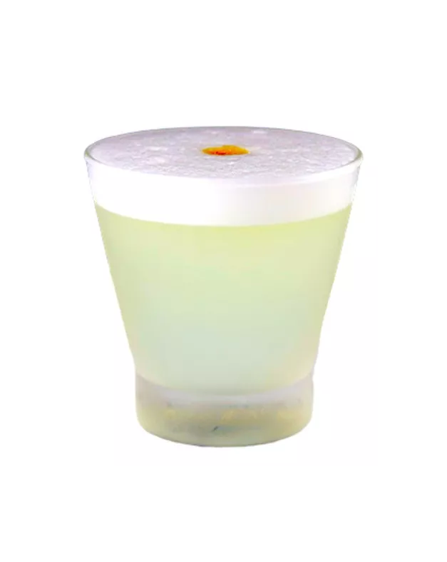 SET 6 VASOS PISCO SOUR CATEDRAL 300CC - 2