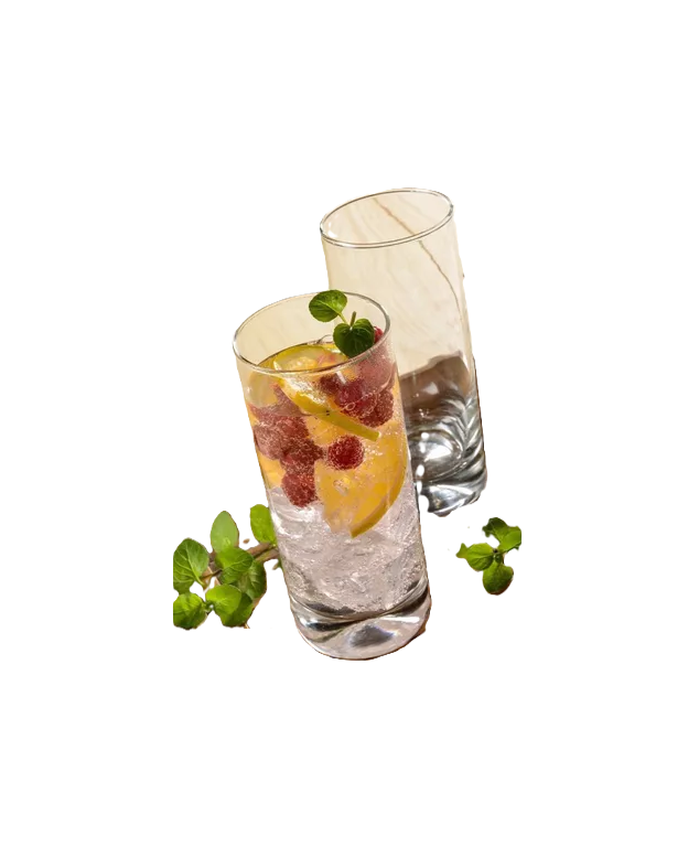 VASO TIKI SET 6 UNIDADES 420ML CRISTAL - 4