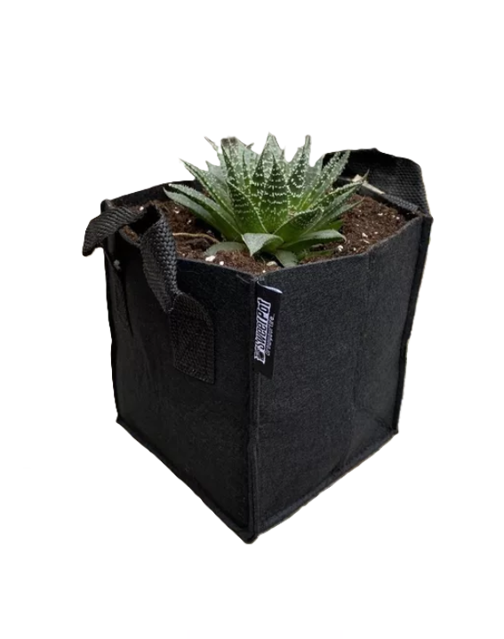 MACETAS GEOTEXTIL SWEETPOT 7L GRAN CALIDAD PACK DE 10 - 3