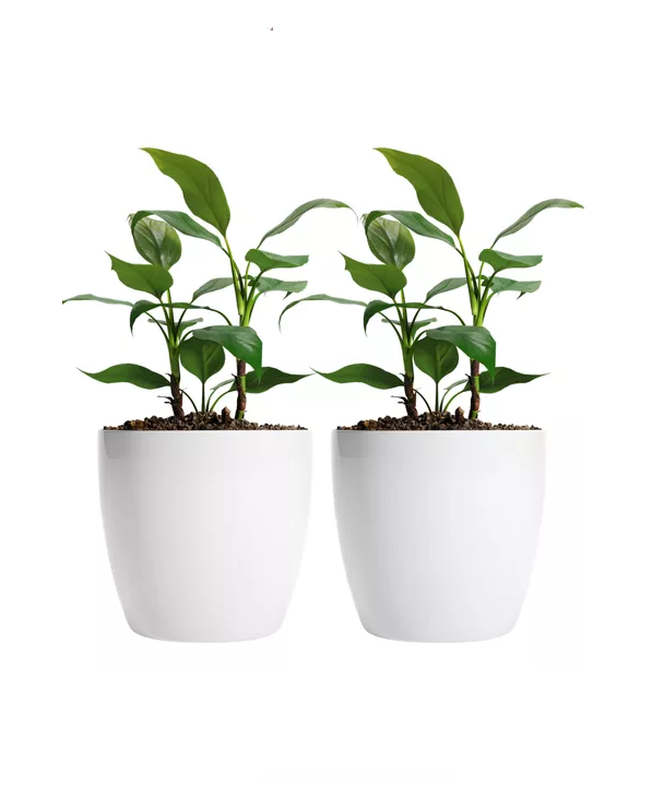 MACETEROS PLÁSTICO 20X22CM AMALFI PACK 2 UNIDADES 5.3L BLANCO - 2