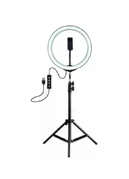 GENÉRICO LUZ CÁLIDA DE LUZ LED ARO DE LUZ 30CM, ESTRUCTURA NEGRA 220V