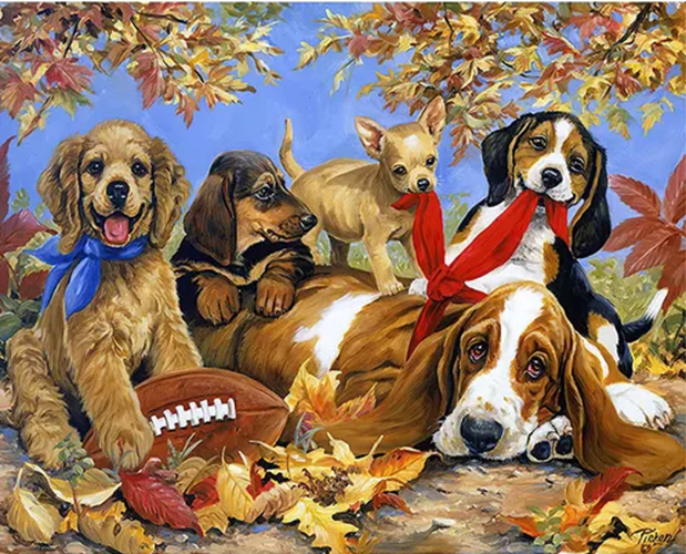 ROMPECABEZAS 70X50CM LINDO PATRÓN PERRO MULTICOLOR - 1