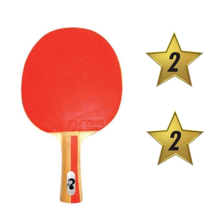 PALETA PING PONG MASTER CLASICA 2* - 3