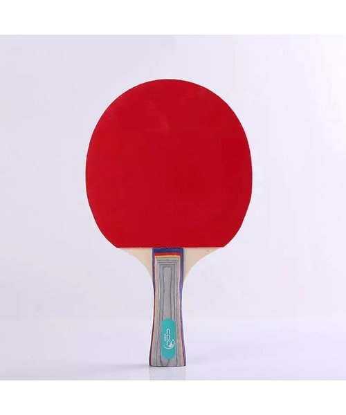 SET 2 PALETAS PING PONG 3* + ESTUCHE - 3