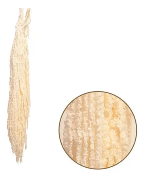 AMARANTO COLGANTE BLANCO SECO NATURAL - 3