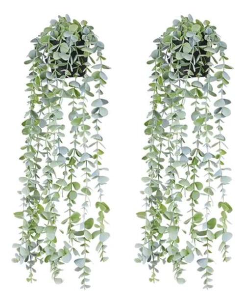 MACETERO PLANTA COLGANTE 60 CM INTERIOR EXTERIOR - 1