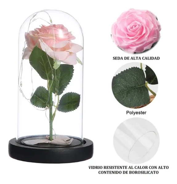 CUPULA VIDRIO ROSA ETERNA CON LUCES LED - 2