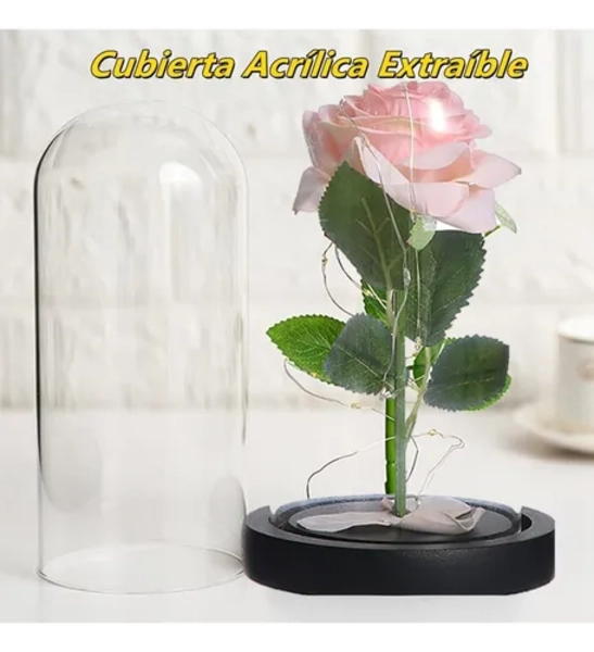 CUPULA VIDRIO ROSA ETERNA CON LUCES LED - 3