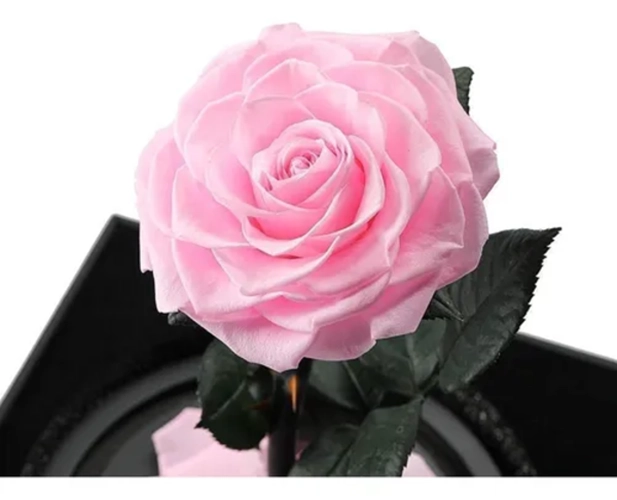 CUPULA VIDRIO ROSA ETERNA CON LUCES LED - 4