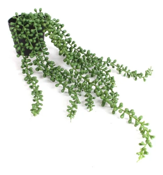 PLANTA SUCULENTA COLGANTE ARTIFICIAL 78 CM - 2