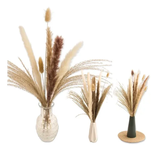 PAMPAS SECAS 65 UDS PLANTAS DECORATIVAS - 1