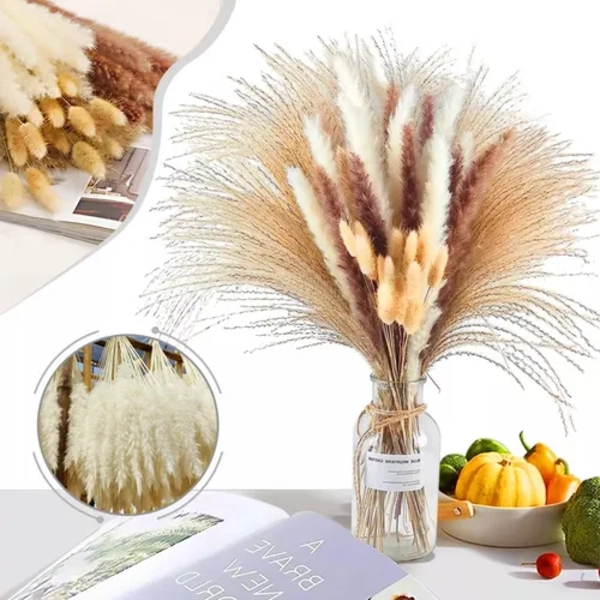 PAMPAS SECAS 65 UDS PLANTAS DECORATIVAS - 2