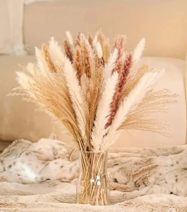 PAMPAS SECAS 65 UDS PLANTAS DECORATIVAS - 4