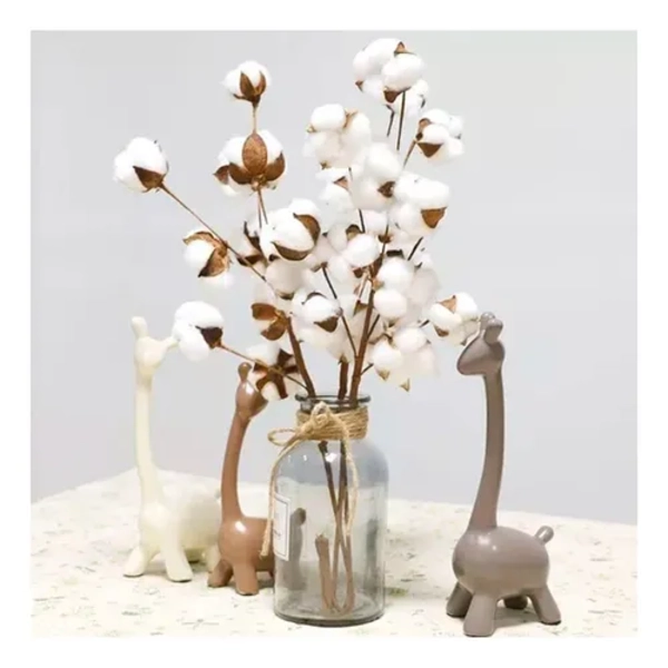 ALGODON SECO 10 TALLOS COTTON BLANCO DECORATIVOS - 2