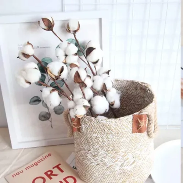 ALGODON SECO 10 TALLOS COTTON BLANCO DECORATIVOS - 3