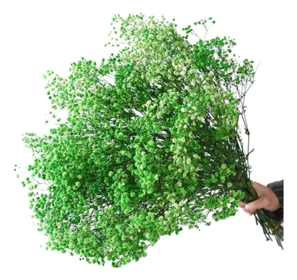 FLORES SECAS GYPSOPHILA FRONDOSA DECORACION - 1