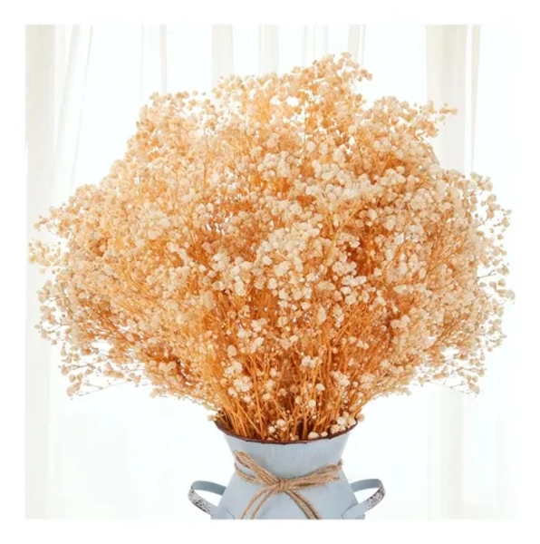 FLORES SECAS GYPSOPHILA FRONDOSA DECORACION - 2