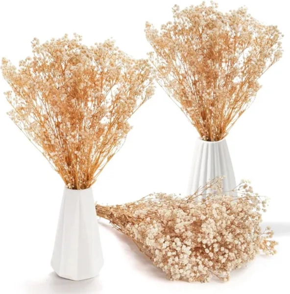 FLORES SECAS GYPSOPHILA FRONDOSA DECORACION - 3