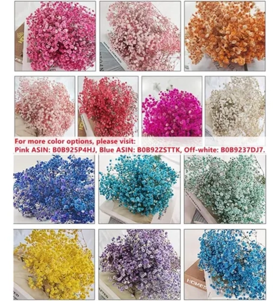 FLORES SECAS GYPSOPHILA FRONDOSA DECORACION - 5