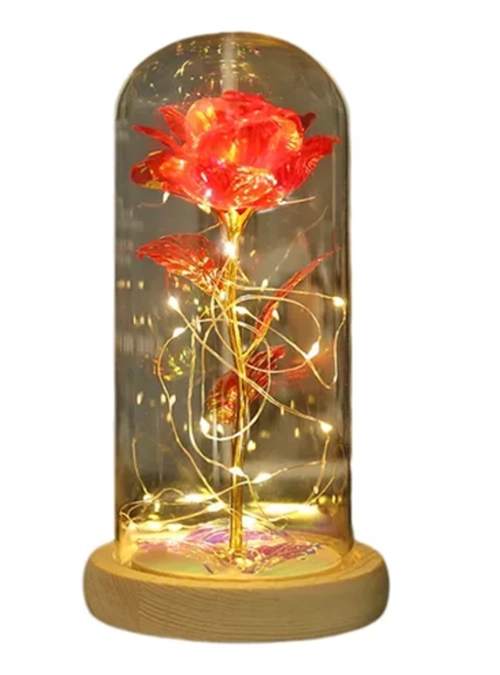 ROSA ETERNA LUCES LED CUPULA VIDRIO - 1
