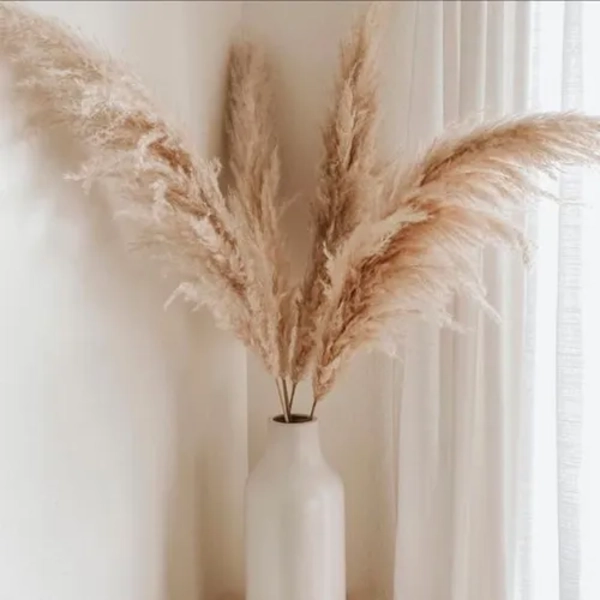 RAMAS PAMPAS GRASS 3 UDS DECORACION - 4