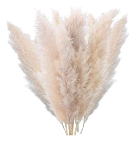 RAMO PAMPAS SECAS 10 UDS COLA DE ZORRO DECO - 2