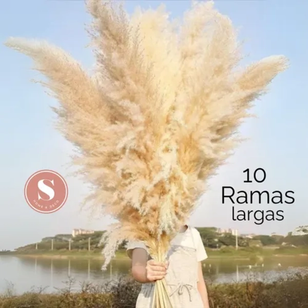 RAMO PAMPAS SECAS 10 UDS COLA DE ZORRO DECO - 3