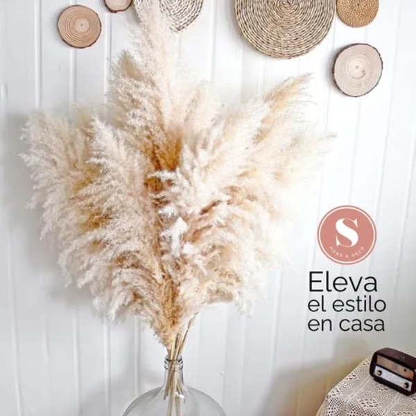 RAMO PAMPAS SECAS 10 UDS COLA DE ZORRO DECO - 4