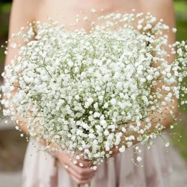 FLORES GYPSOPHILA ILUSIONES ARREGLOS - 3