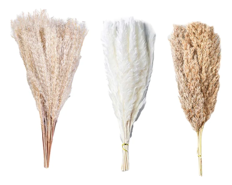RAMO PAMPAS SECAS NATURALES 90 UDS 44 CM - 1