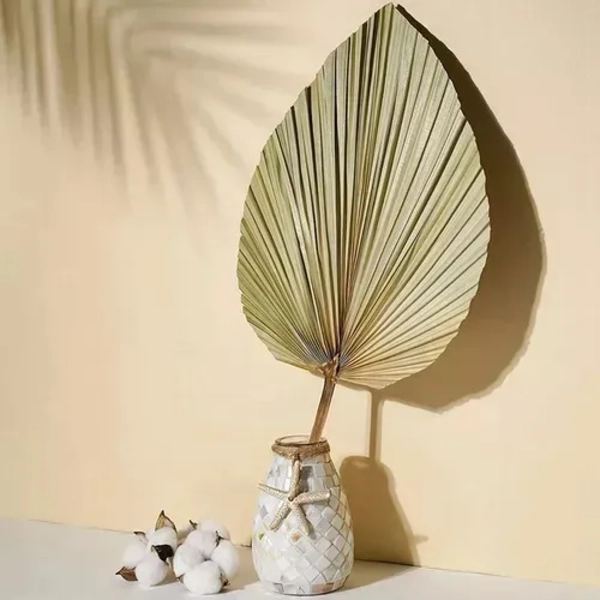 HOJA PALMA SECA CORAZON TROPICAL NATURAL - 3