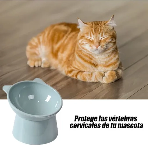 CUENCO ALTO COMEDERO GATOS/PERROS PEQUEÑOS COLOR GRIS - 5