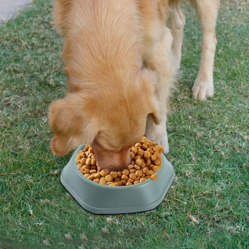 PLATO PER-ROS ANTIESTRE S MASCOTAS PERROS COLOR VERDE - 6