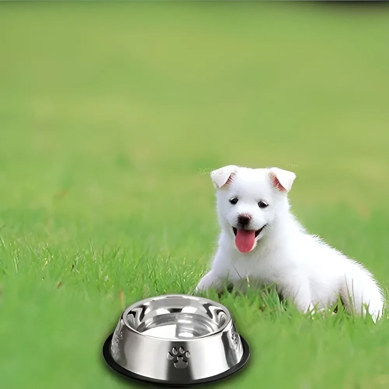 PLATO METALICO COMIDA MASCOTAS RORO 18CM - 4