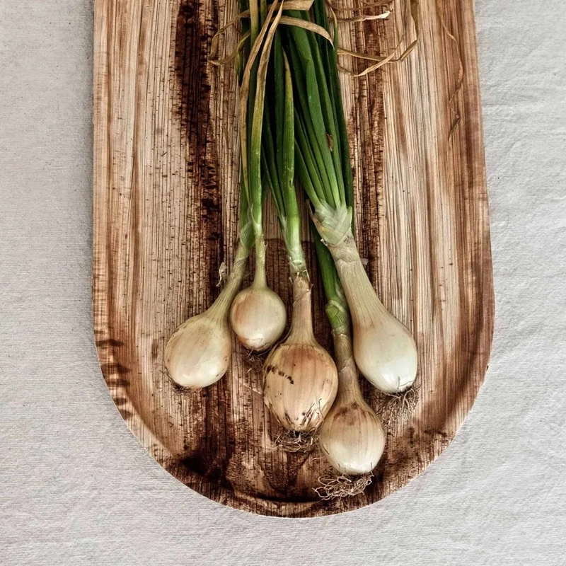 SET DE 3 BANDEJAS ECOLOGICAS DE HOJA DE PALMA BANDEJAS HOJA DE PALMA MARRON - 3