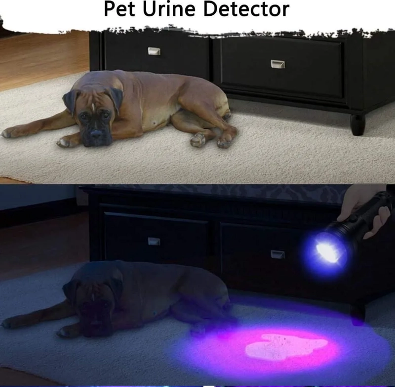 LINTERNA ULTRAVIOLETA 51 LED UV DETECTORA SUSTANCIAS LAMPARA RAYOS ULTRAVIOLETA - 3