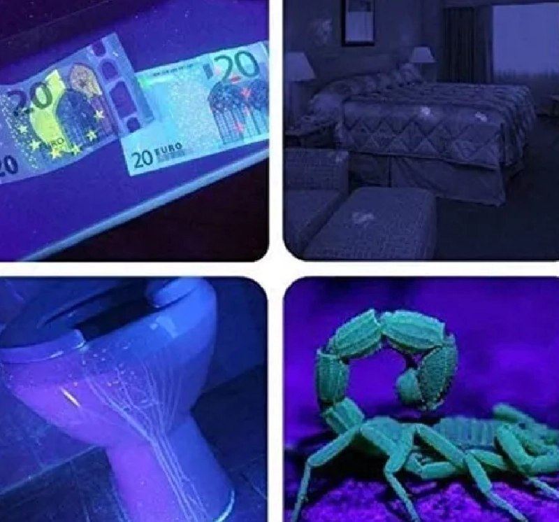 LINTERNA ULTRAVIOLETA 51 LED UV DETECTORA SUSTANCIAS LAMPARA RAYOS ULTRAVIOLETA - 4