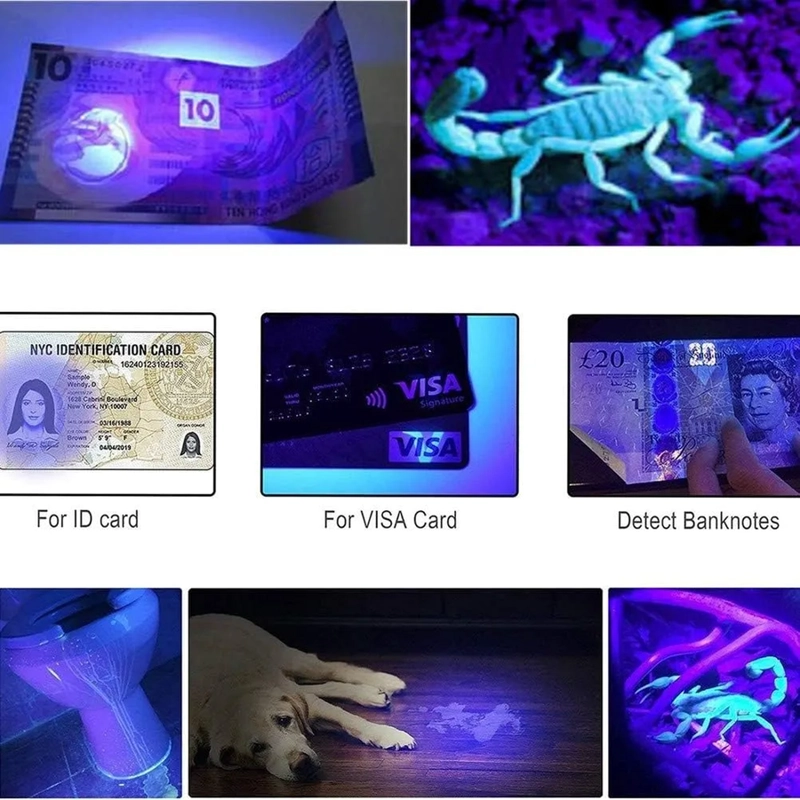 UV-ULTRAVIOLETA LED LINTERNA PARA DETECCION FALSIFICACIONES - 2
