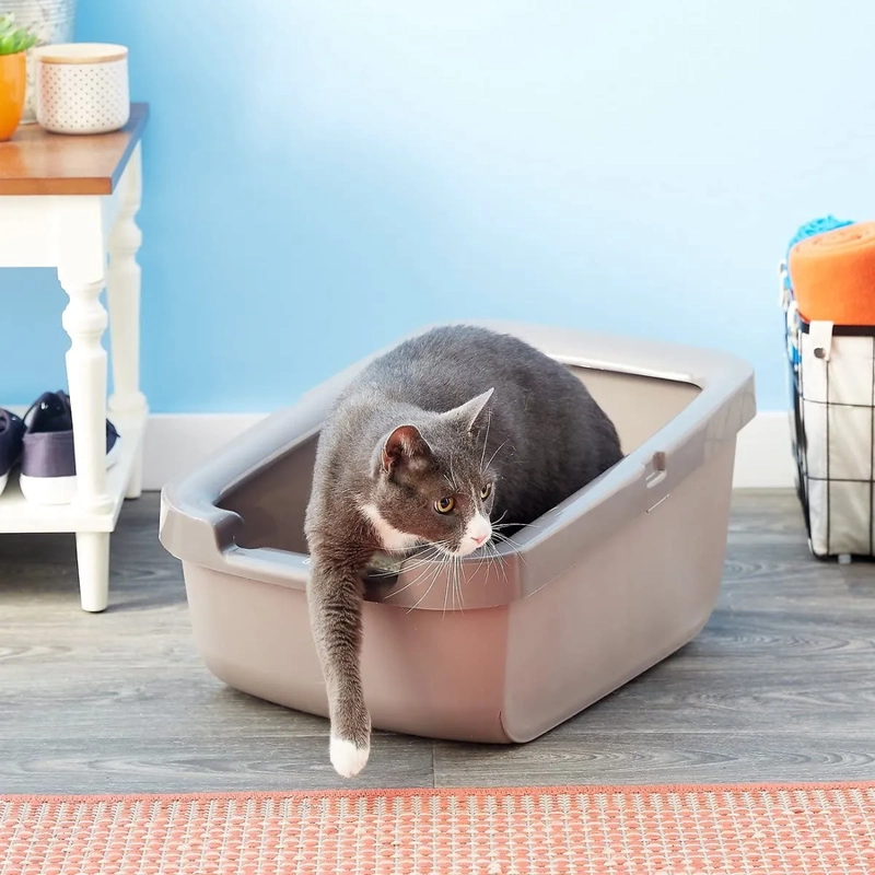 CATIT ARENERO PARA GATOS BORDE GRUESO GRIS CLARO - 2