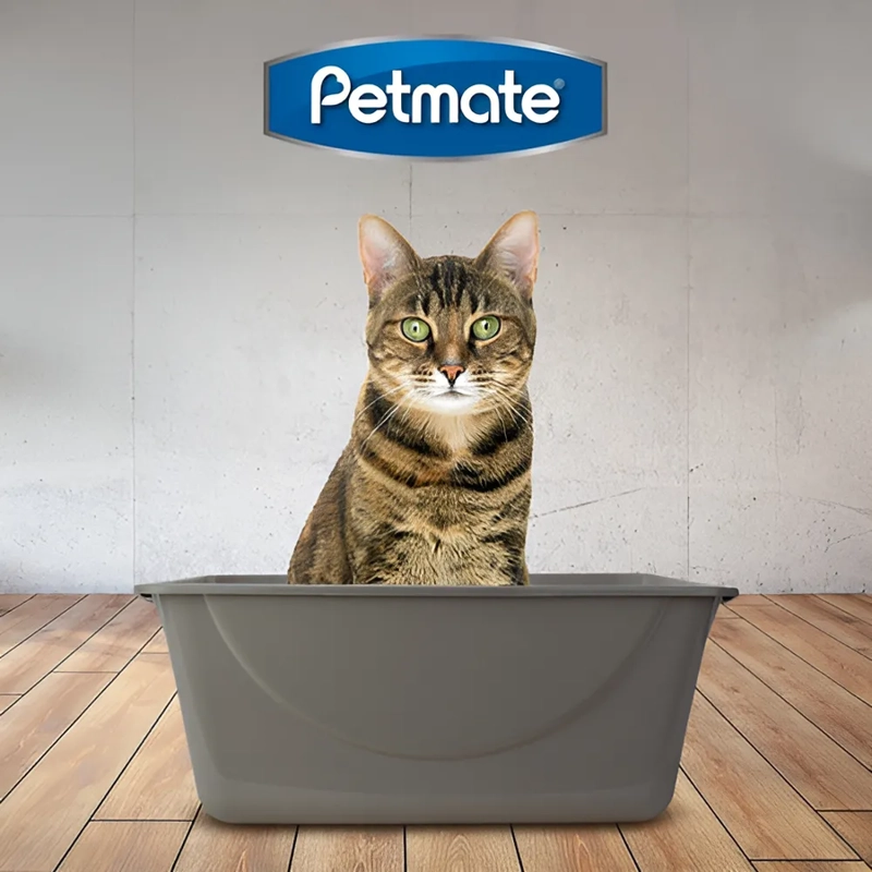 ARENERO PARA GATO JUMBO PETMATE MASCOTAS SANITARIO HIGIENE COLOR GRIS - 2