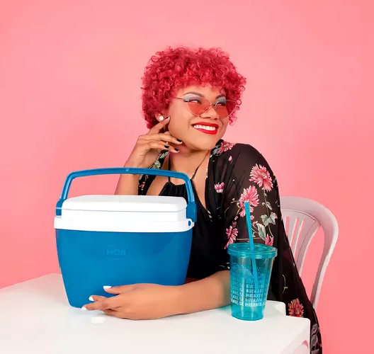 LUNCHERA HELADERITA CONSERVADORA PARA CAMPING, 6 L - 3