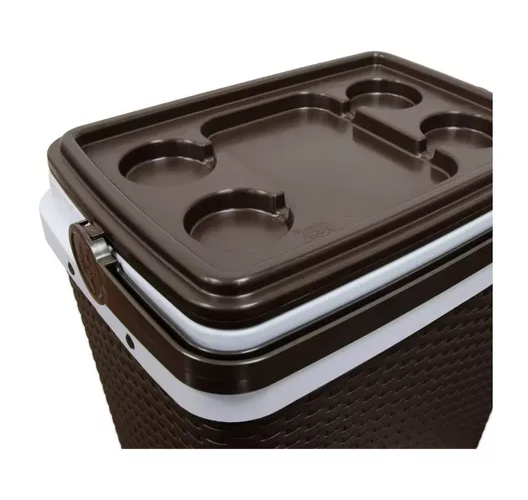 COOLER NEVERA RATAN 35 L - 2