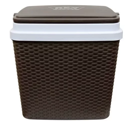 COOLER NEVERA RATAN 35 L - 6