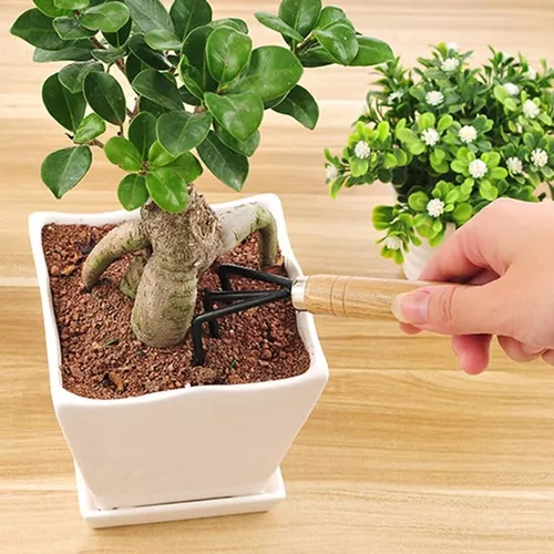 SET 3 UNIDADES PALAS DE JARDIN KIT JARDINERIA HERRAMIENTAS RASTRILLO - 6