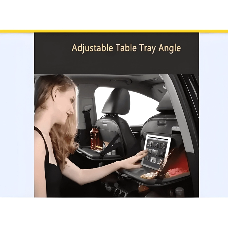 ORGANIZADOR ASIENTO NISSAN - 1