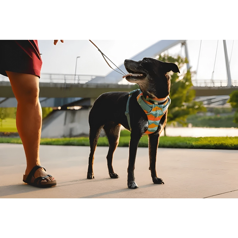 ARNE S PARA PERRO ANTI TIRON RUFFWEAR FRONT RANGE XS S M L XL - 2