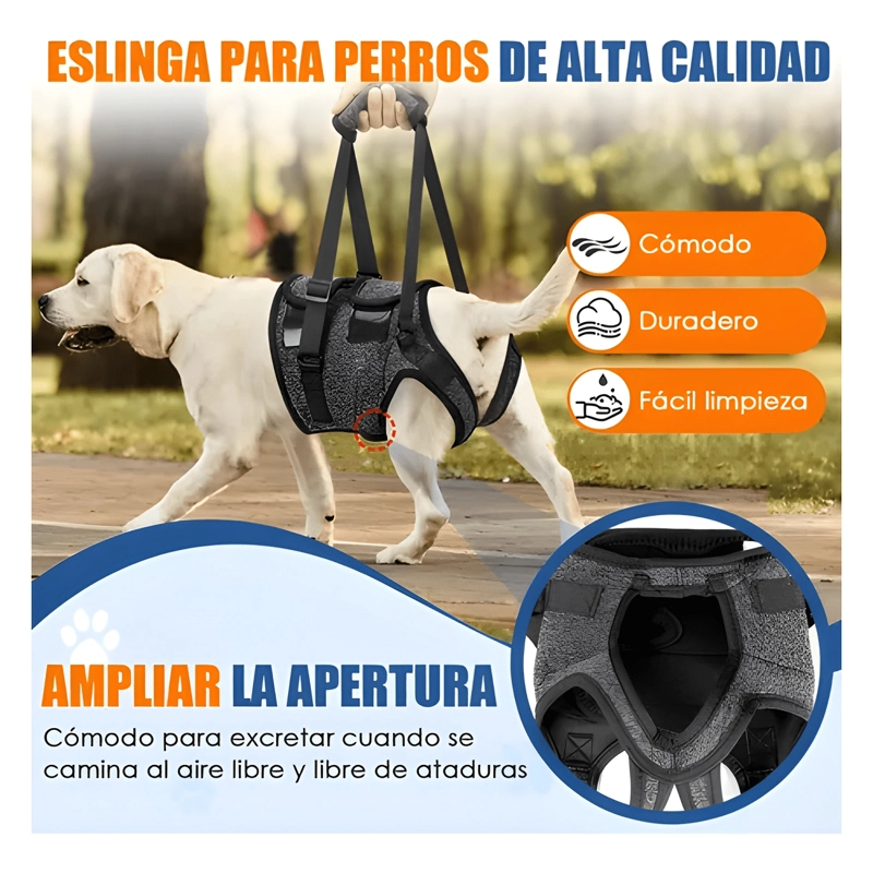 ARNE S SOPORTE PARA PERROS PATAS TRASERAS ARNE S DE ELEVACION - 3