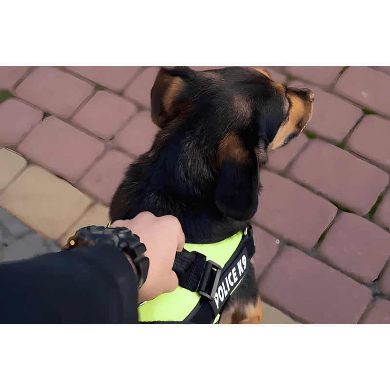 ARNE S PECHERA K9 ACOLCHADO REFORZADO PERROS PEQUEÑOS ROSADO - 3