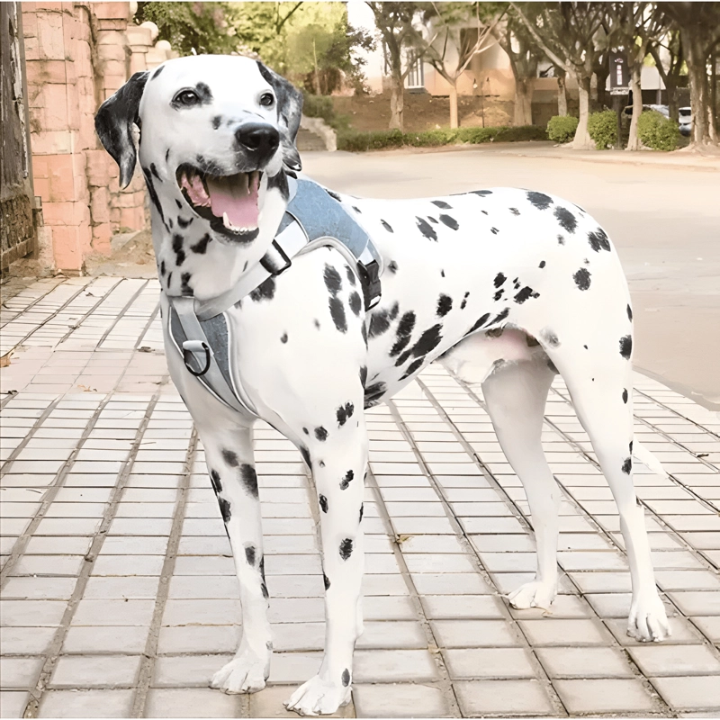 ARNE S ANTI TIRONES ACOLCHADOS PARA PERRO TALLAS S A XXL - 2